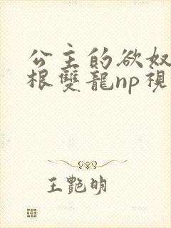 公主的欲奴h四根双龙np视频