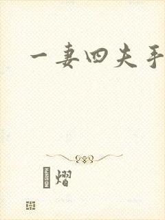 一妻四夫手记