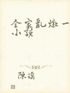 全家乱炖一锅烩小说