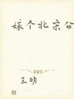 嫁个北宋公务员