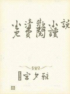 小清欢小说全文免费阅读