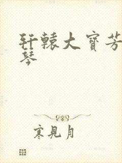 轩辕大宝芳菲雅琴