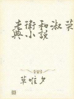 老卫和淑荣的经典小说