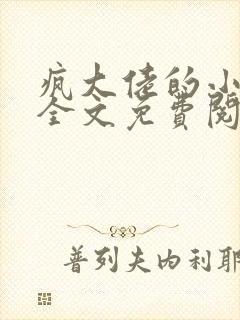 疯大佬的小玩物全文免费阅读小说