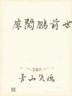 廖阅鹏前世今生