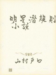 明星潜规则之皇 小说