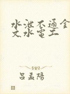 水泄不通金银原文水电工