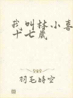 我叫林小喜今年十七岁