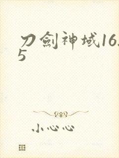 刀剑神域16.5