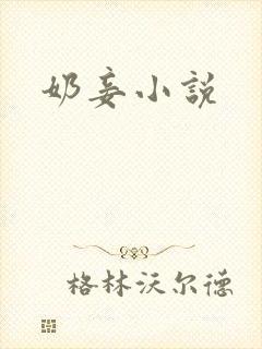 奶妾小说