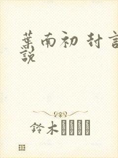 叶南初 封言小说