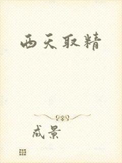 西天取精