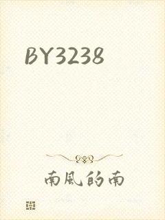 BY3238