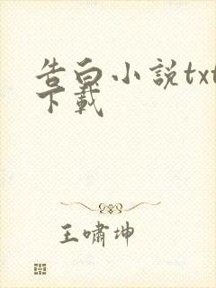 告白小说txt下载