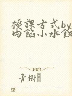 授课方式by 肉馅小水饺