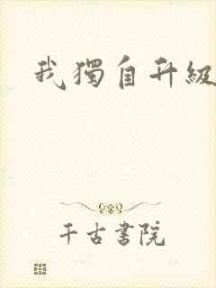 我独自升级小说