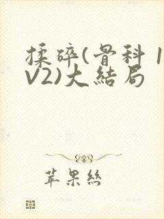 揉碎(骨科 1V2)大结局