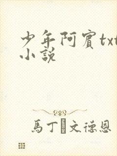 少年阿宾txt小说