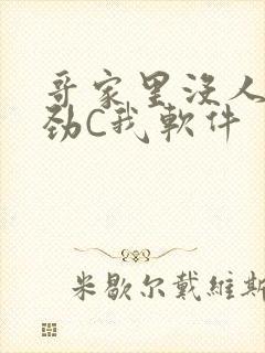 哥家里没人使点劲C我软件