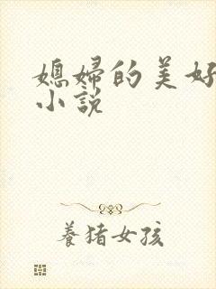 媳妇的美好时代小说