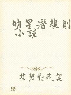 明星潜规则之皇 小说