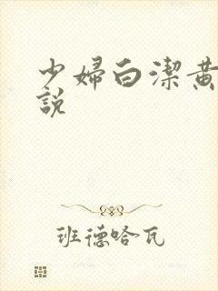 少妇白洁黄色小说