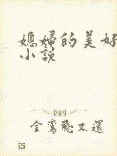 媳妇的美好时代小说