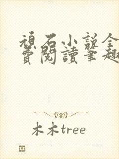 顽石小说全文免费阅读笔趣阁