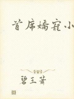 首席娇宠小情人