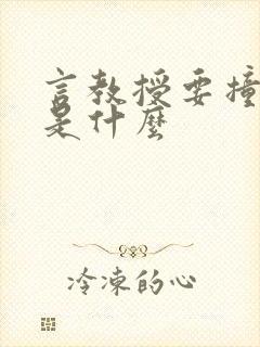 言教授要撞坏了是什么