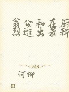 翁公和在厨房猛烈进出最新章节