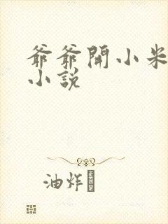 爷爷开小米的包小说