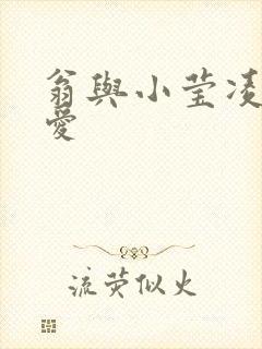 翁与小莹凌晨欢爱