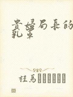 贵妇局长的蕾丝乳罩