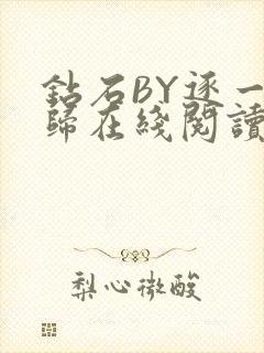 钻石BY逐一而归在线阅读