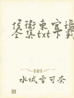 侯卫东官场笔记全集txt下载