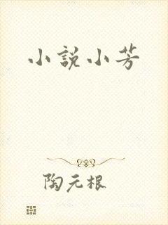 小说小芳
