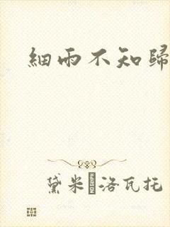 细雨不知归