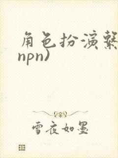 角色扮演系统(npn)