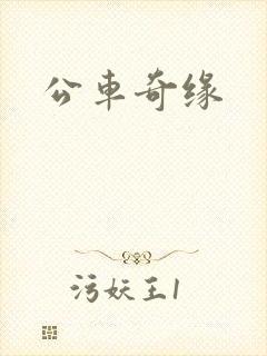 公车奇缘