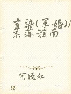 有染(军婚)/叶落淮南