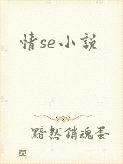 情se小说