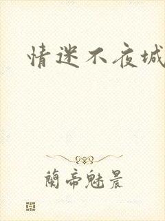 情迷不夜城