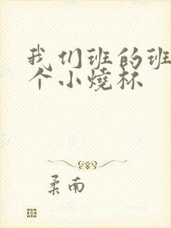 我们班的班花是个小烧杯