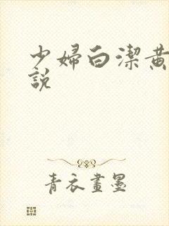 少妇白洁黄色小说