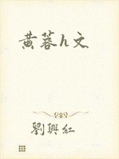黄蓉h文