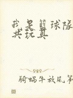 我是篮球队的公共玩具