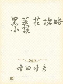 黑莲花攻略手册小说