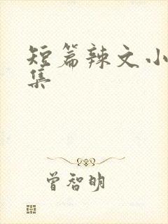 短篇辣文小说合集