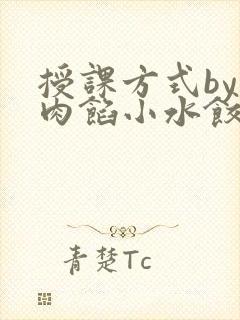 授课方式by 肉馅小水饺